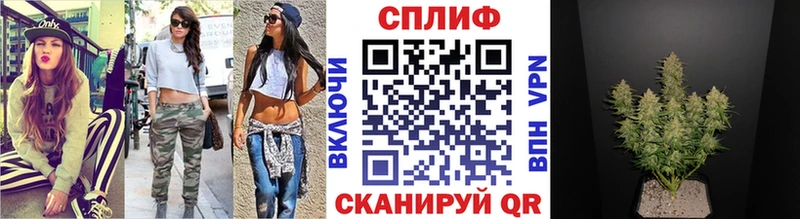 Конопля тримм даркнет состав Ессентукская наркошоп